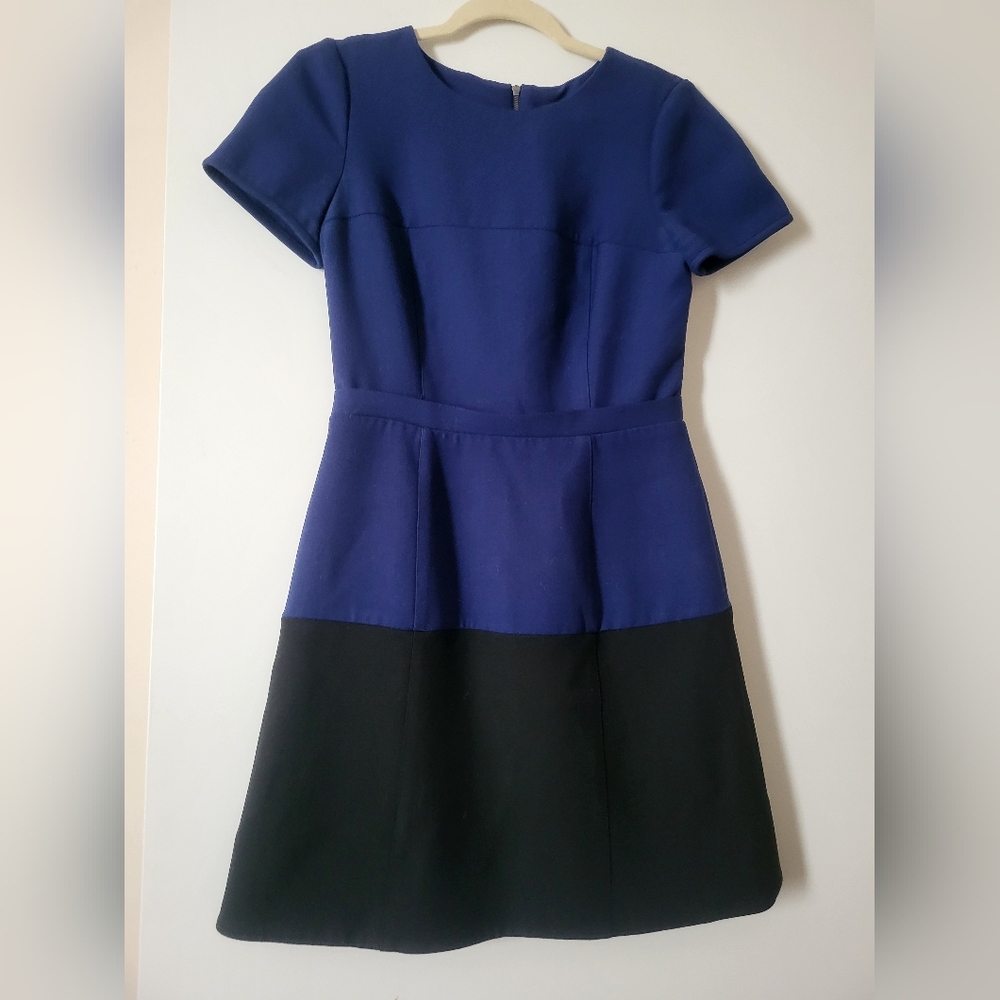 BCBG Maxazria Dress